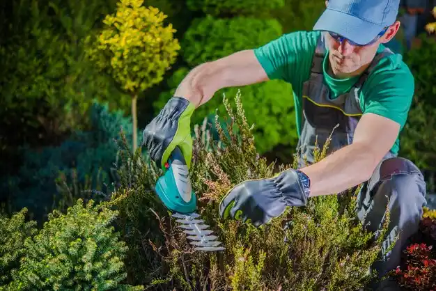 landscaping services Beverly Hills